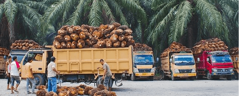 Supply Chain Investment